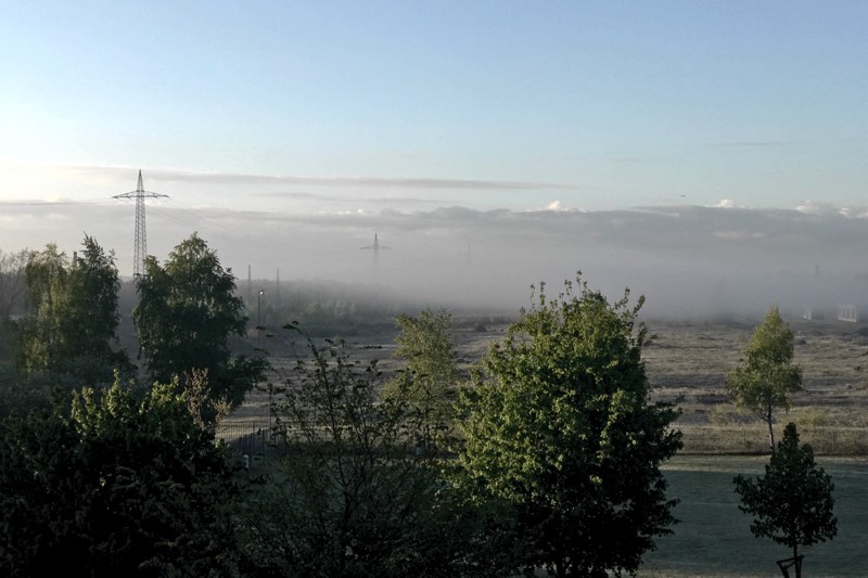 Landschaftsbild mit Nebel zur Morgenstunde